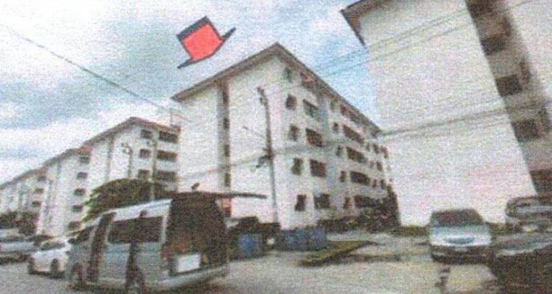 ศีรษะจรเข้ใหญ่ บางเสาธง สมุทรปราการ