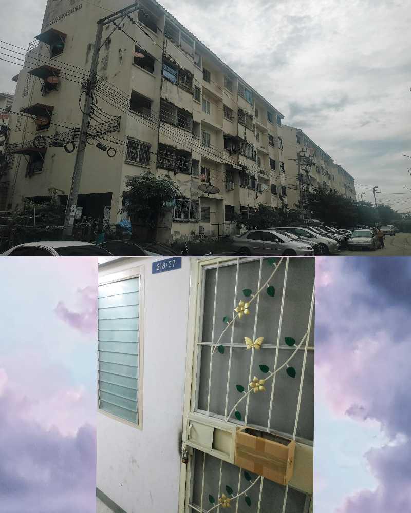 ในคลองบางปลากด พระสมุทรเจดีย์ สมุทรปราการ