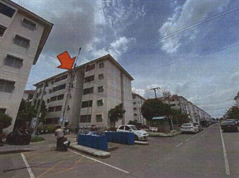 ศีรษะจรเข้ใหญ่ บางเสาธง สมุทรปราการ