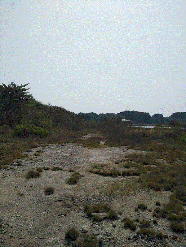 ที่ดินหลุดจำนอง ธ.ธนาคารกรุงเทพ  บางบ่อ สมุทรปราการ